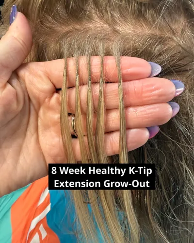 Close-up of 8-week healthy K-tip extension bonds in blonde hair showing natural grow-out
